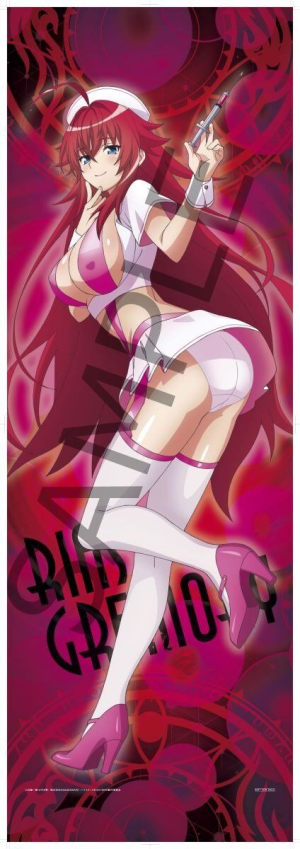 (image for) Rias Gremory 1/7 Nurse ver. Special Set