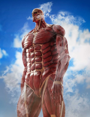 (image for) Chou-ougata Kyojin - Mega Sofvi