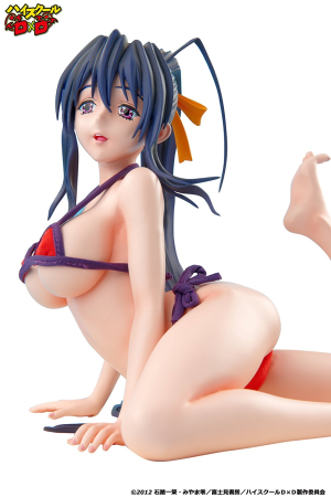 (image for) Akeno Himejima 1/4.5