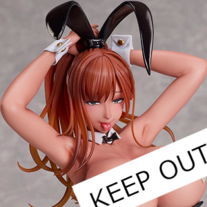 (image for) Shinjou Serina - Character's Selection - 1/6 - Bunny Ver. - Opened