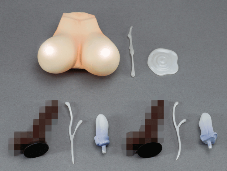 Modal Additional Images for Fanaticism Alyssa - 1/5.5 (Dragon Toy) - Opened