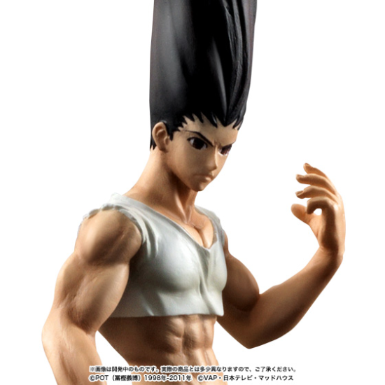 Modal Additional Images for Gon Freecss - HG Series - Opened