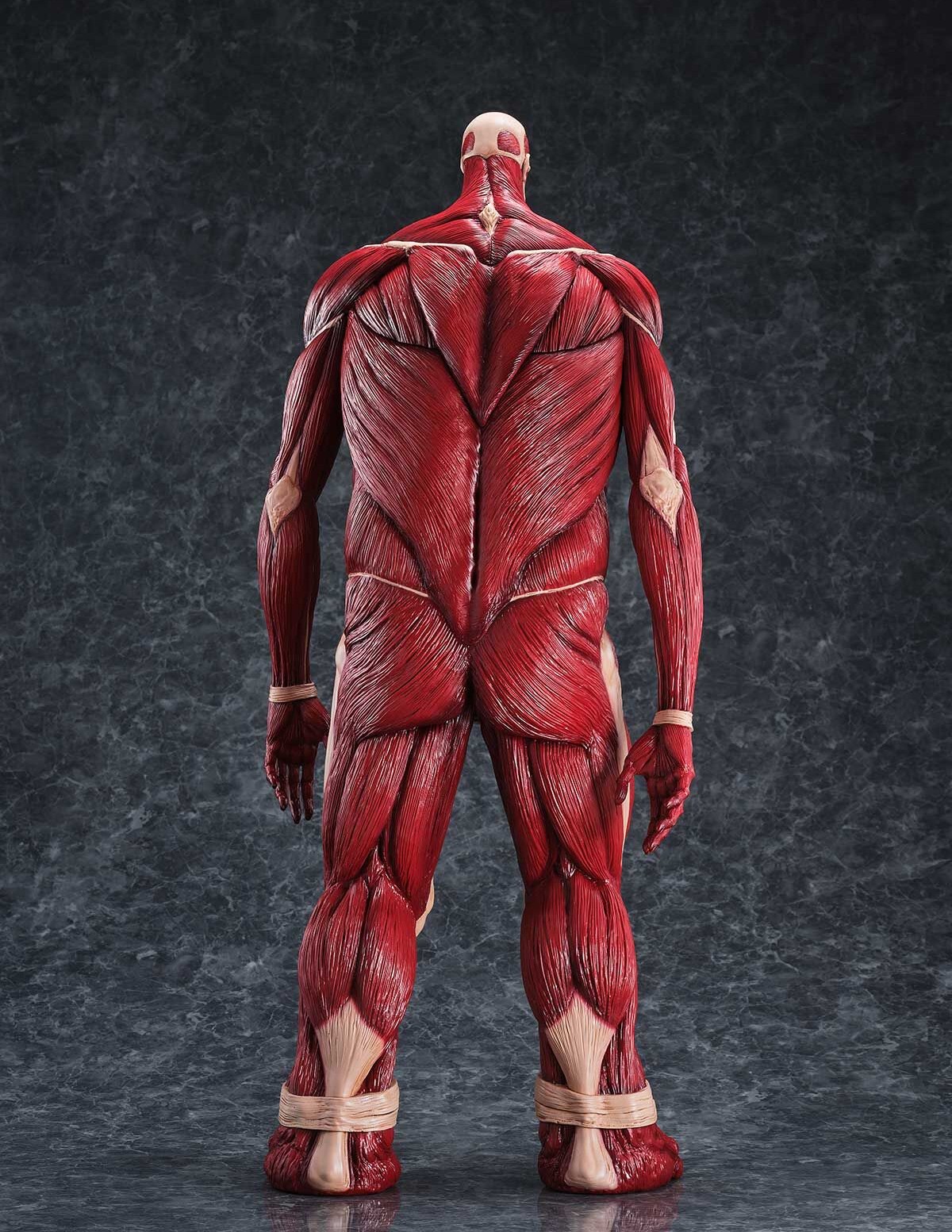 Chou-ougata Kyojin - Mega Sofvi - Pre-order